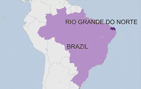 <p>In 2020, the Government of the State of Rio Grande do Norte, through Potiguar Tourist Promotion Company (EMPROTUR), approached D2-Analytics to analyse the touristic appeal of Rio Grande do Norte using the D2-Digital Demand © tool.</p>
                                    <p>Bloom Consulting delivered data to EMPROTUR in two stages, first in January 2021, providing access to online search engine traffic data for 2020, and subsequently in January 2022 covering data from 2021.</p>
                                    <p>The data covered all online searches related to tourism towards Rio Grande do Norte from the Brazilian domestic market (10 specific states chosen by EMPROTUR). It helped the destination to see how (and to what degree) the market has been impacted by the pandemic, which tourist activities were impacted the most and which have had the best recovery, therefore helping to understand the change in touristic behaviour that helped Rio Grande do Norte adjust their touristic offer to the post-pandemic trends.</p>