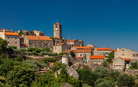 <p>Idanha-a-Nova, une petite municipalité portugaise de 10 000 habitants, a fait appel à Bloom Consulting pour élaborer une stratégie visant à attirer les citoyens à la recherche d'un nouveau mode de vie dans une zone rurale entourée de nature. Idanha souhaitait contrecarrer la tendance croissante des jeunes professionnels à s'installer dans les grandes villes, conséquence de la crise financière.</p>
                                    <p>La stratégie recommandée par Bloom Consulting a eu des résultats positifs, principalement grâce à la mise en uvre du programme “Restart in Idanha”. Bloom Consulting a proposé quatre programmes qui ont été mis en œuvre: “Green Valley”, qui aide à stimuler l'innovation et à attirer les entrepreneurs, “Live”, qui assure l'intégration des nouvelles familles dans l'Idanha, “Experiment”, qui promeut l'Idanha en tant que destination touristique saisonnière, et “Made In”, qui encourage l'exportation de produits locaux. Nous avons réalisé ces quatre projets en menant des entretiens, qui ont permis la création de rapports détaillés, et en analysant la demande numérique pour l'investissement, le talent et le tourisme dans l'Idanha.</p>
                                    <p>Bloom Consulting a utilisé les résultats de l'analyse pour accompagner de près le programme. Depuis 2014, Bloom Consulting est responsable de la gestion de la marque, ce qui implique la supervision de la communication globale, des relations publiques et de la publicité. Le programme “Restart in Idanha” s'est avér fructueux: l'“exode des talents” a été stoppé. En outre, dans les six mois qui ont suivi la mise en œuvre de la nouvelle stratégie, 300 familles ont exprimé un réel désir de s'installer à Idanha et de recommencer leur vie.</p>