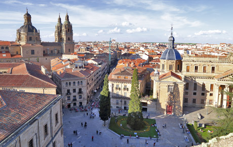 <p>Malgré l'étendue de son territoire et la réputation de ses universités réputées (comme l'université de Salamanque, la plus ancienne d'Espagne), la région de Castilla y León a souffert d'un “exode des talents” avant même la crise conomique espagnole. Le gouvernement de Castilla y León a fait appel à Bloom Consulting afin d'inverser cette tendance et d'attirer les investissements directs étrangers.</p>
                                    <p>Le gouvernement régional de Castilla y León a demandé à Bloom Consulting d'évaluer la perception de la marque de sa région dans les domaines du talent et de l'investissement, tant au niveau national qu'international. Les résultats de notre recherche ont permis à Castilla y León d'identifier les secteurs économiques les plus stratégiques pour l'investissement, ainsi que les principaux publics cibles nationaux et internationaux pour leurs efforts de promotion.</p>