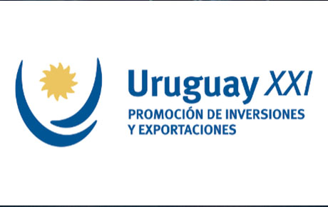 <p>As the events and activities of Uruguay Week commenced in China to celebrate three decades of bilateral relations between the two nations, Uruguay XXI approached Bloom Consulting to conduct research on the current image and perceptions of Uruguay in the Chinese market.</p>
                                    <p>Bloom Consulting's research revealed strong engagement from Chinese individuals, attributed to the meticulous organization of Uruguay Week in China. These efforts led to positive perceptions among Chinese citizens, highlighting the pivotal role that consistent presence and messaging played in forming these positive views. The study validated the effectiveness of such activities during Uruguay Week in enhancing Chinese citizens' willingness to invest in and visit Uruguay.</p>
                                    <p>Uruguay XXI received two comprehensive reports—one centered on tourism and the other on investment—providing invaluable insights into Chinese perceptions of Latin America and, specifically, Uruguay. These insights were instrumental for Uruguay XXI, confirming the efficacy of these events in cultivating enduring ties with China.</p>