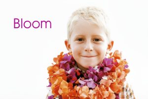 First Bloom Consulting logo