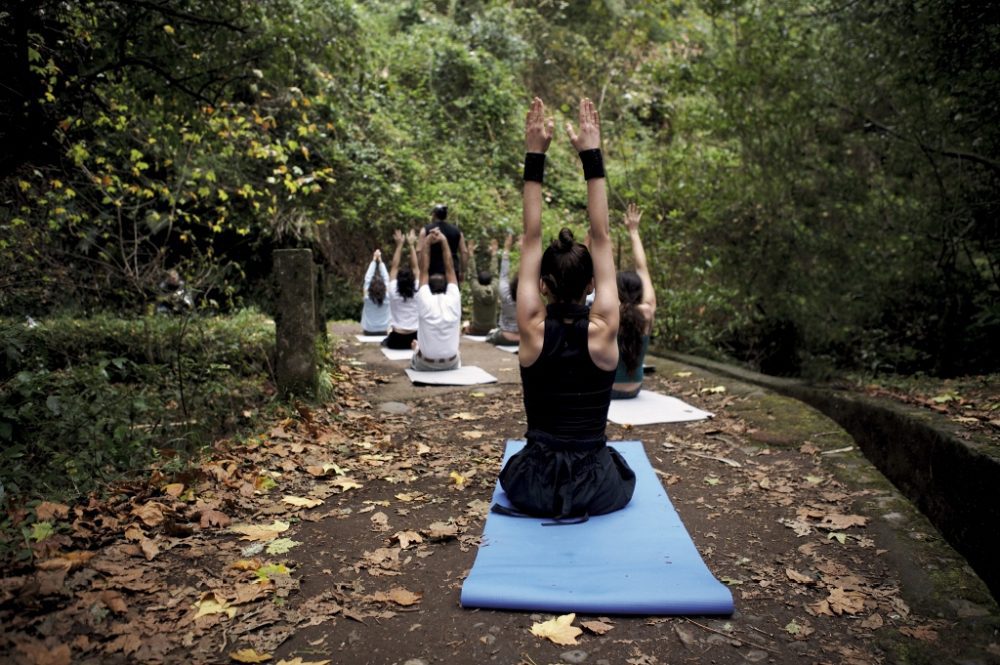 yoga-floresta-pessoas