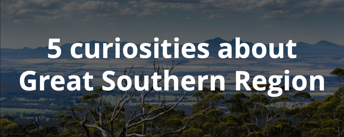 5 curiosities about Great Southern Region in Australia