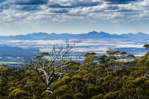 5 curiosities about Great Southern Regions Australia