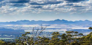 5 curiosities about Great Southern Regions Australia