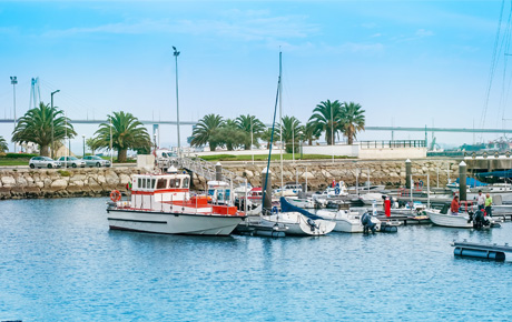 <p>A Figueira da Foz, um dos destinos mais proeminentes da costa atlântica portuguesa, está atenta aos novos desafios impostos pelos mercados nacional e internacional no âmbito da atração de turistas. Ciente de que para ser atraente e competitivo, um destino deve gerir e promover estrategicamente os seus ativos únicos, o município da Figueira da Foz, contactou a Bloom Consulting para obter uma análise detalhada do seu desempenho enquanto destino turístico.</p>
                                    <p>Com recurso à ferramenta Digital Demand - D2©, realizámos uma análise cuidada do apelo da Figueira da Foz, nos níveis individual e regional, assim como no contexto dos principais competidores. Das conclusões deste estudo, resultaram várias recomendaçes estratégicas com o objetivo de ajudar o município a tornar-se mais procurado e desejado, nos mercados interno e externo de turistas, investidores, e talentos, entre outros.</p>
